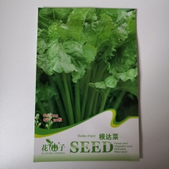 swiss chard seeds 50 seeds/bags