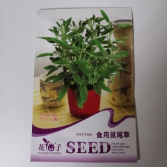 sage seeds 10 seeds/bags