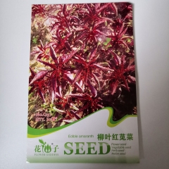Red Amaranth seeds 30 seeds/bags