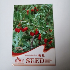 goji berry seeds 50 seeds/bags