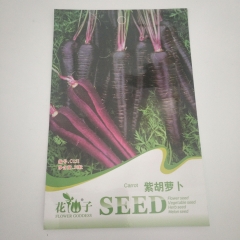 Purple carrot seeds 30 seeds/bags
