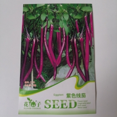Purple eggplant seeds 15 seeds/bags