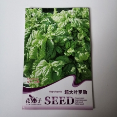 Super big basil seeds 30 seeds/bags