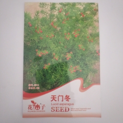 radix asparagi seeds 6 seeds/bags