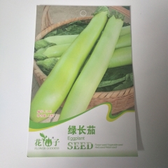Green eggplant seeds 15 seeds/bags