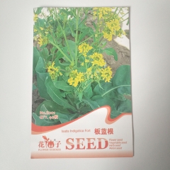 radix isatidis seeds 40 seeds/bags