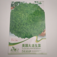 USA Speed lettuce seeds 100 seeds/bags