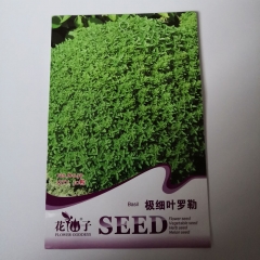 Tiny leaf basil seeds 30 seeds/bags
