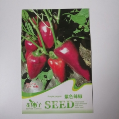 Purple pepper seeds 10 seeds/bags