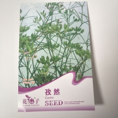 Cumin seeds 30 seeds/bags
