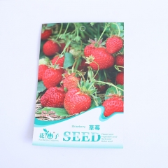 Red strawberry seeds 50 seeds/bags