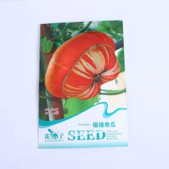 Ornamental pumpkin seeds 4 seeds/bags