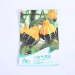 Smallfruit pumpkin seeds 8 seeds/bags