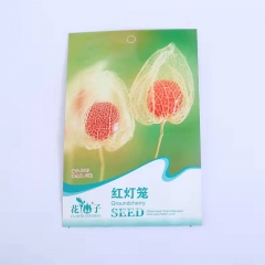 groundcherry seeds 50 seeds/bags