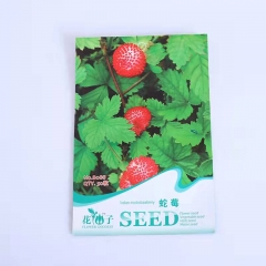 Indian strawberry seeds 50 seeds/bags