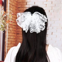 Korean White Hair Clips Distributor