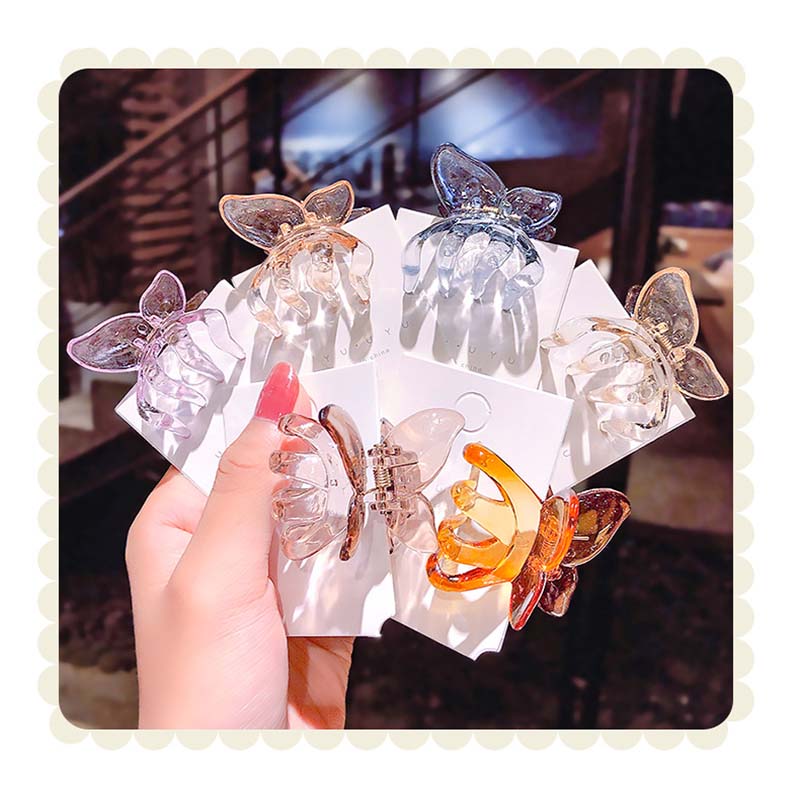 Jelly Color Three-dimensional Butterfly Small Grasping Clip Korea Simple Distributor