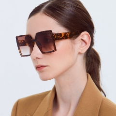 Wholesale Large Box Sunglasses  Transparent Frame Sunglasses Vendors