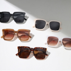 Square Large Tortoiseshell Sunglasses Beige Fashion Distributor
