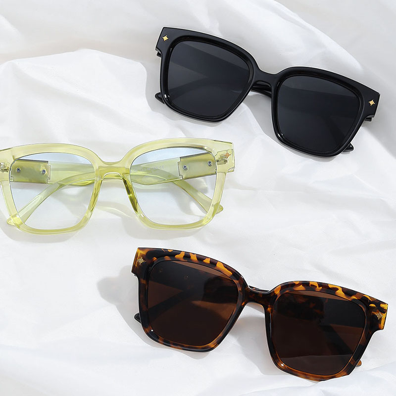Autumn  Square Rivets Tortoiseshell Frame Sunglasses Manufacturer