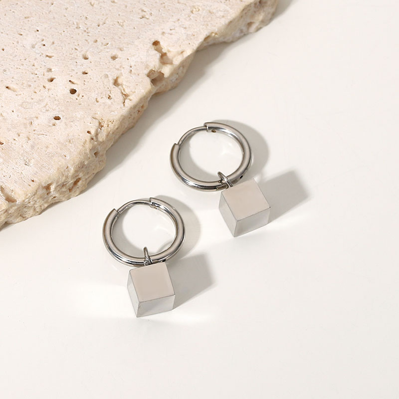 Stainless Steel Three-dimensional Square Dangle Earrings Distributor