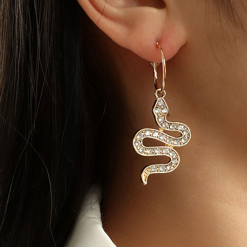 Snake Accessories With Diamonds Diverse Snake-shaped Female Earrings Manufacturer