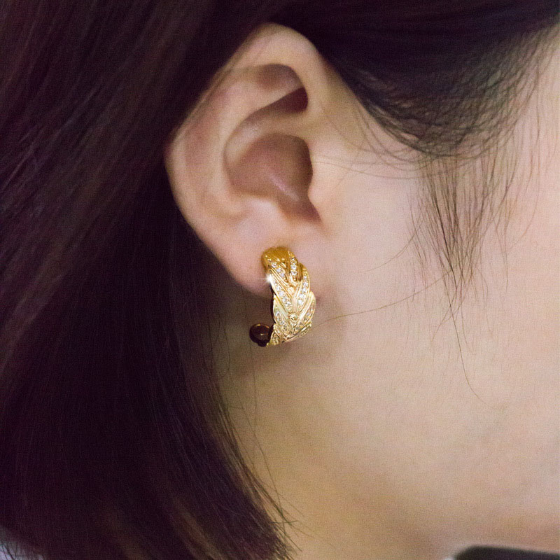 Exquisite Luxury Ladies Earrings Micro-set Creative Leaf/feather Earrings Distributor