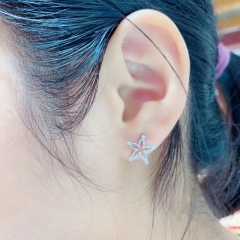 Wholesale Jewelry Small Fresh Starfish Zirconia Hundred Matching Earrings Hollow Pentagram Earrings