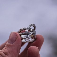 Vintage Silver Plated Spirit Snake Ring Distributor