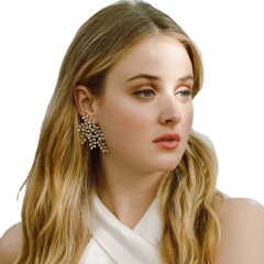 Wholesale Light Luxury Leaf Zircon Earrings Bridal Jewelry Temperament Versatile Evening Dress Earrings