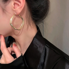 Wholesale Large Metal Earrings Earrings Fashion Irregular Geometric Circle Exaggerated Personality Earrings