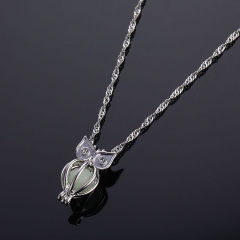 Luminous Cage Owl Necklace Vendors
