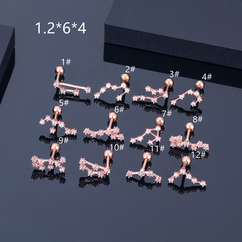 Twelve Zodiac Signs Simple Stainless Steel Round Ball Screw Ear Bone Studs Vendors