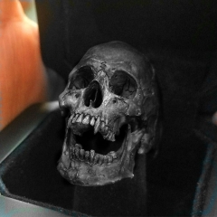Skull Rock Gothic Punk Ring Manufacturer