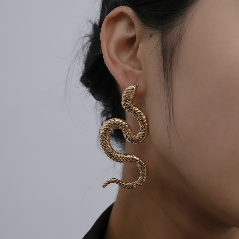 Snake-shaped Embossed Long Earrings Supplier