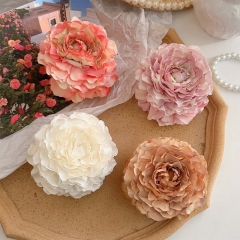 Camellia Shark Clip Wholesalers