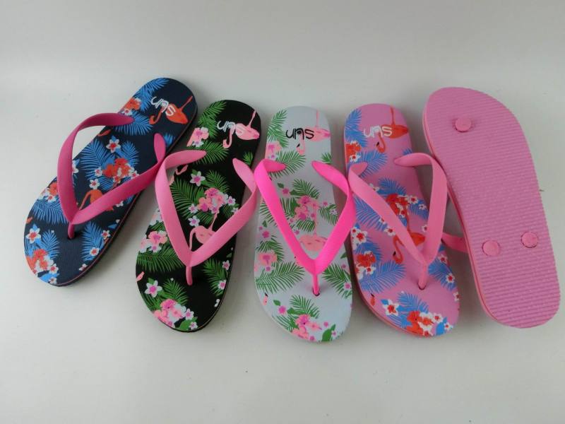 Women newest fashional flip flop
