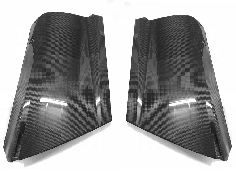 CARBON FIBER DOOR