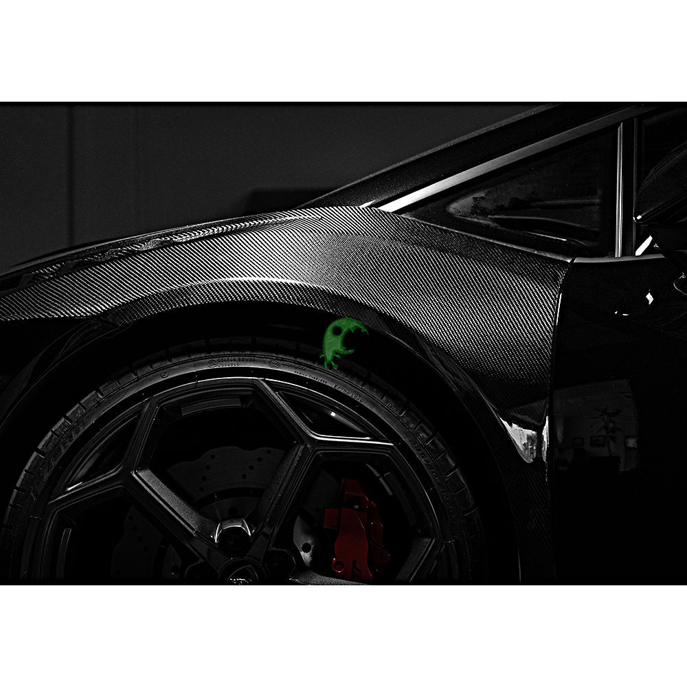 Paktechz Style Dry Carbon Fiber Front Fenders for Lamborghini Huracan EVO RWD