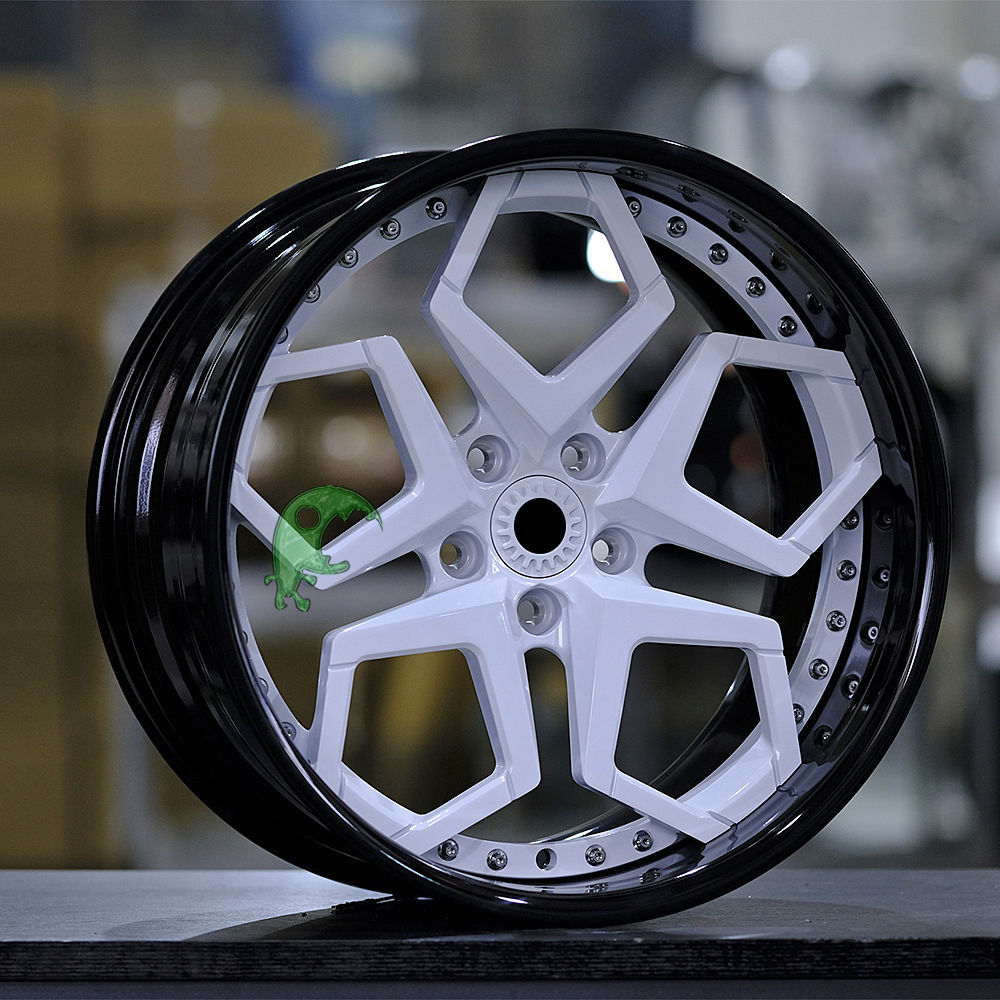 Speed Freak Customized Style Forged Wheel 2 Pieces Design Customization By T6061-T6 Aluminum Alloy