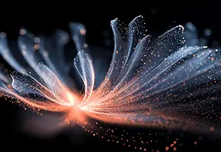 1.6T Optical Modules Expected to Enter Mass Production in 2026?