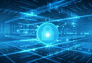 Review of a technology company's revenue in 2024