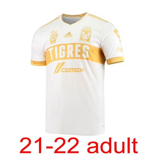 2021-2022 Tiger Adult Thailand Best Quality