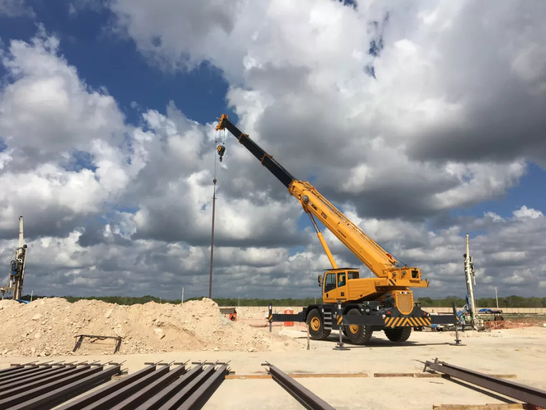 CRANE IN SUDAN