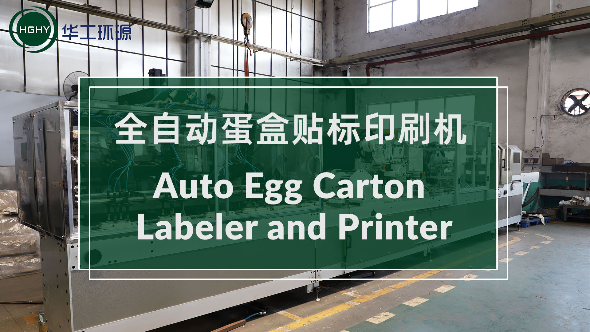 The First Set of Auto Egg Carton Labeler and Printer Unveiled Successfully!