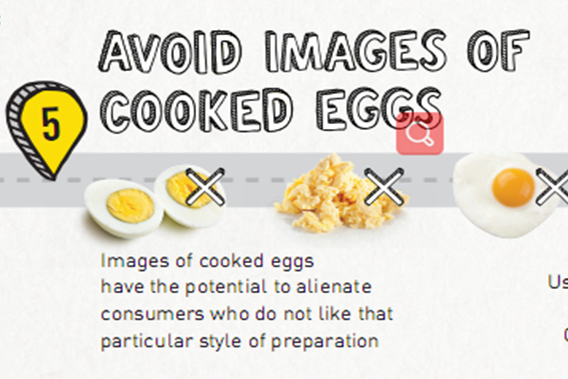 Egg Package Design 5