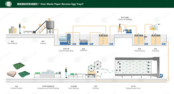 HGHY egg trays production process