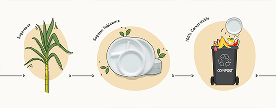 bagasse tableware