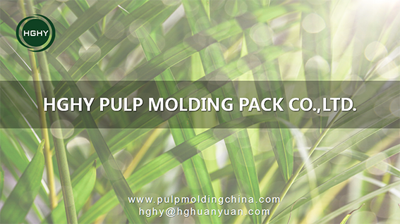 HGHY pulp molding packaging technology