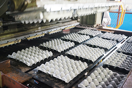 HGHY egg tray making machine